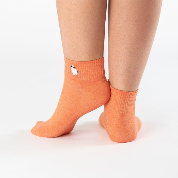 Llama funny animals cotton socks