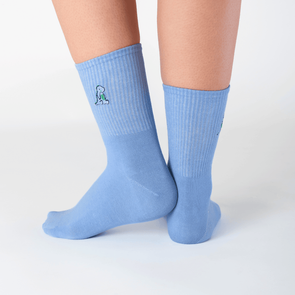 Blue dinosaur cotton socks