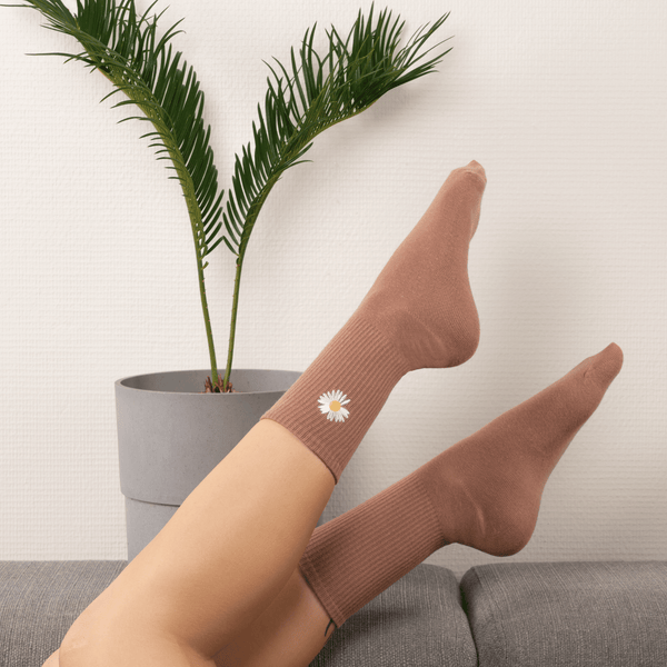 Brown daisy socks