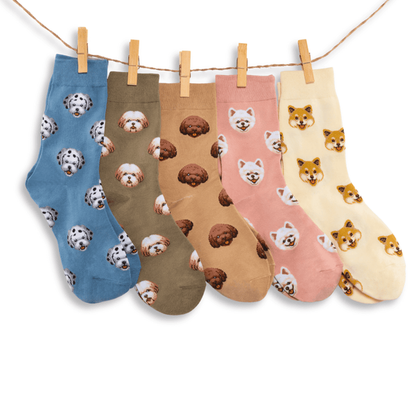 Dog knee-high cotton socks gift box