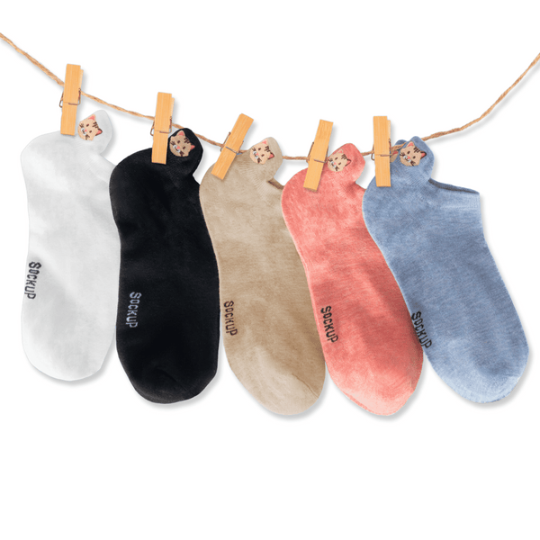 Cat tab socks gift box