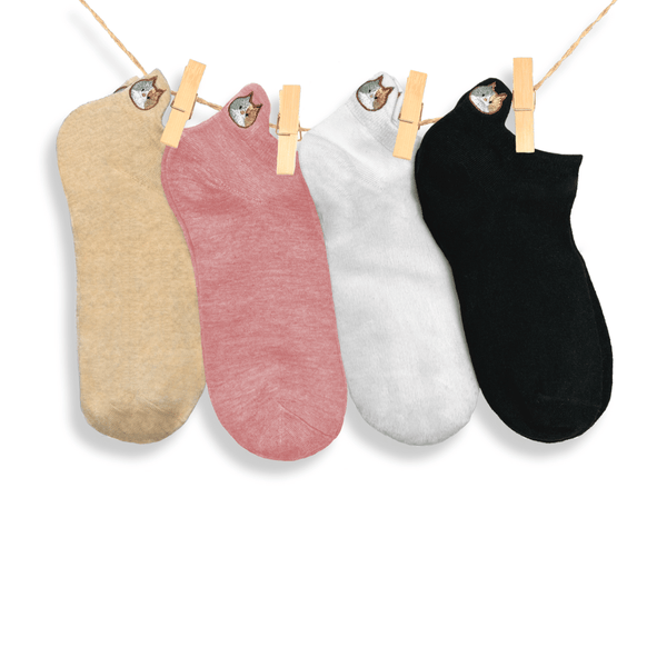 Kitten tab socks gift box