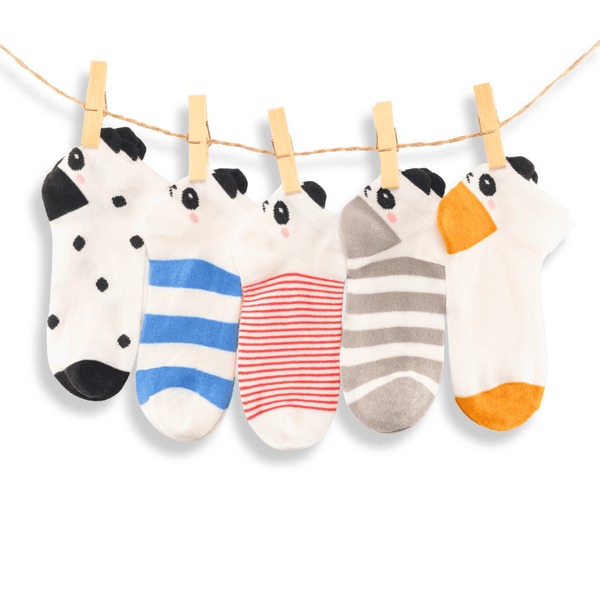 Kids panda cotton socks gift box pack of 5