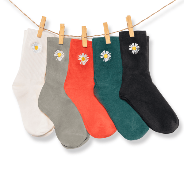 Daisy cotton socks gift box pack of 5