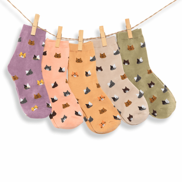  Cat face cotton socks gift box (pack of 5)