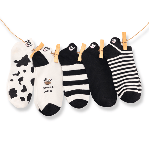 Cow tab cotton socks gift box (pack of 5)